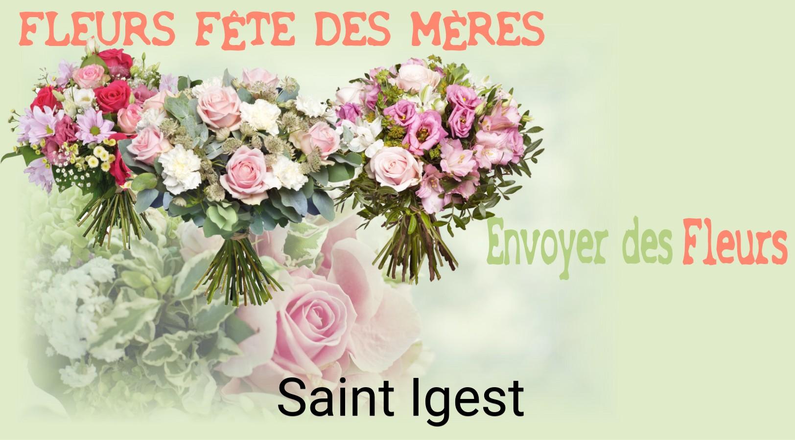 Bouquet de Fête des Mères livré à Saint-Igest